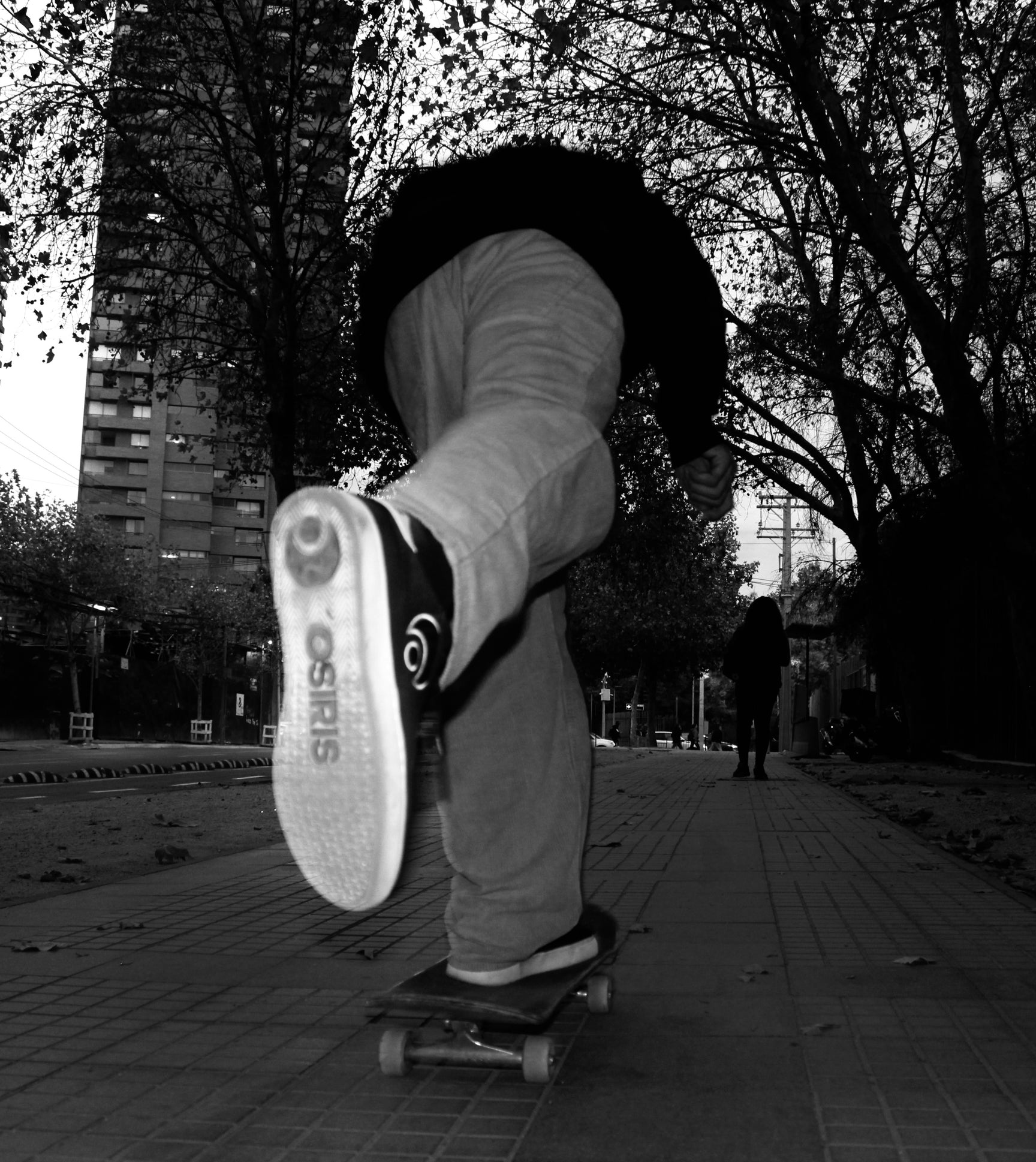 Zapatillas Osiris zapatillas-osiris